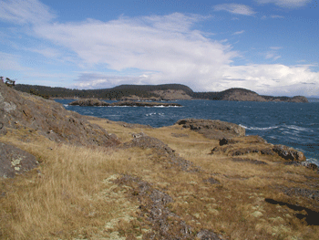 Rugged shoreline, like this parcel near Lopez Islands' Iceberg Point (owned by the BLM) could receive a National Conservation Area designation.