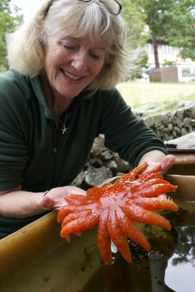 A woman holding a red sea star above a tub.