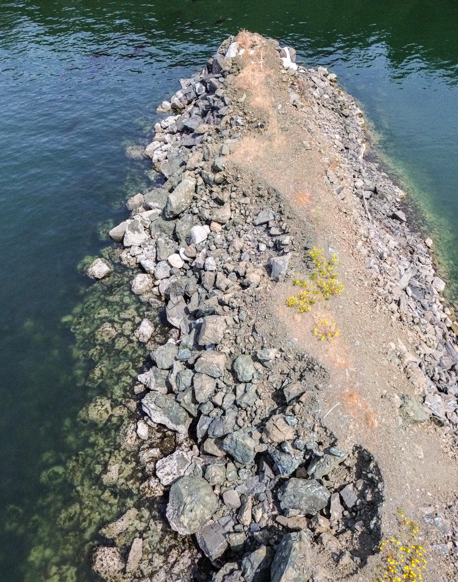 San-Juan-Preservation-Trust-Vendovi-Island-Preserve-Aerial-Image-Breakwater-Tall