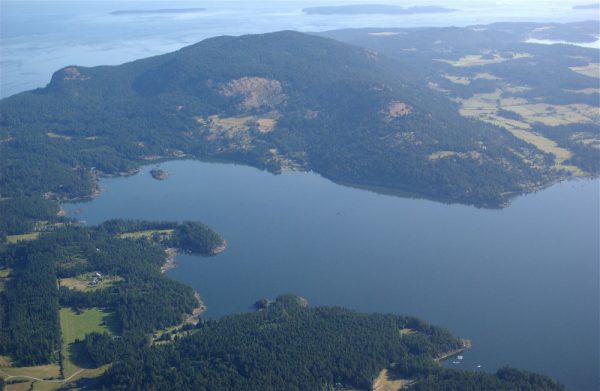 Turtleback Mountain Preserve - San Juan Preservation Trust