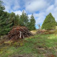 Forest Demonstration Project Tour at Turtleback Mountain Preserve